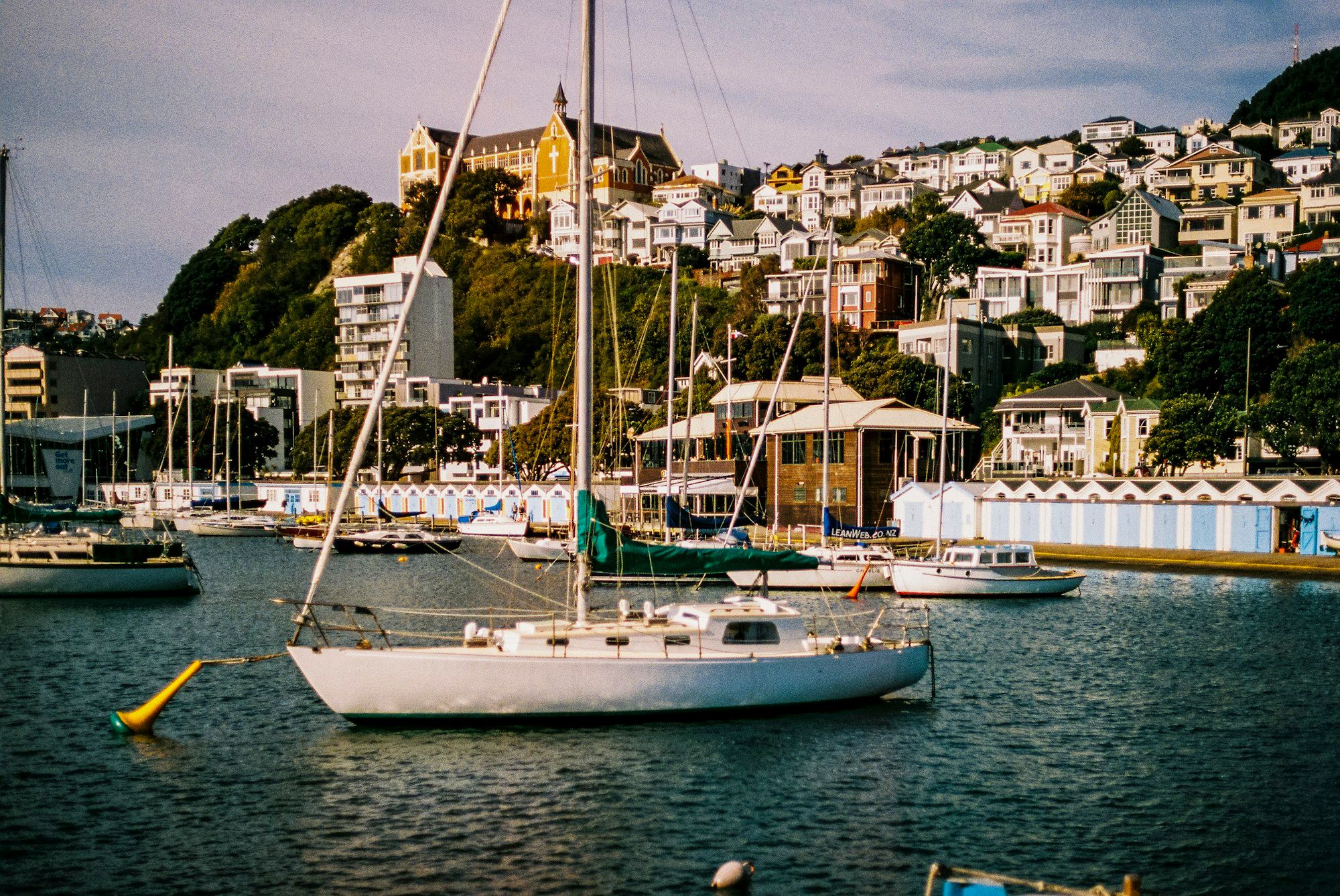 Boats moored at Oriental Bay, Wellington, with houses on the hill behind